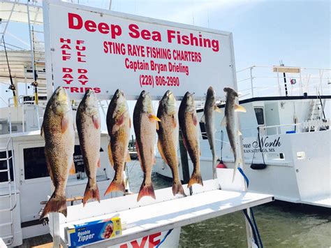 Sting raye fishing charters  Your guide will help you get individual attention from the rays, even stealing a kiss for a holiday memory you'll never forget during your private boat